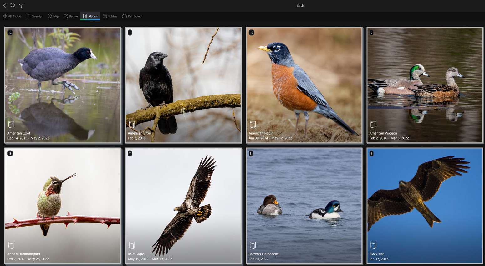 Getting Started in Bird Photography - Mylio Blog